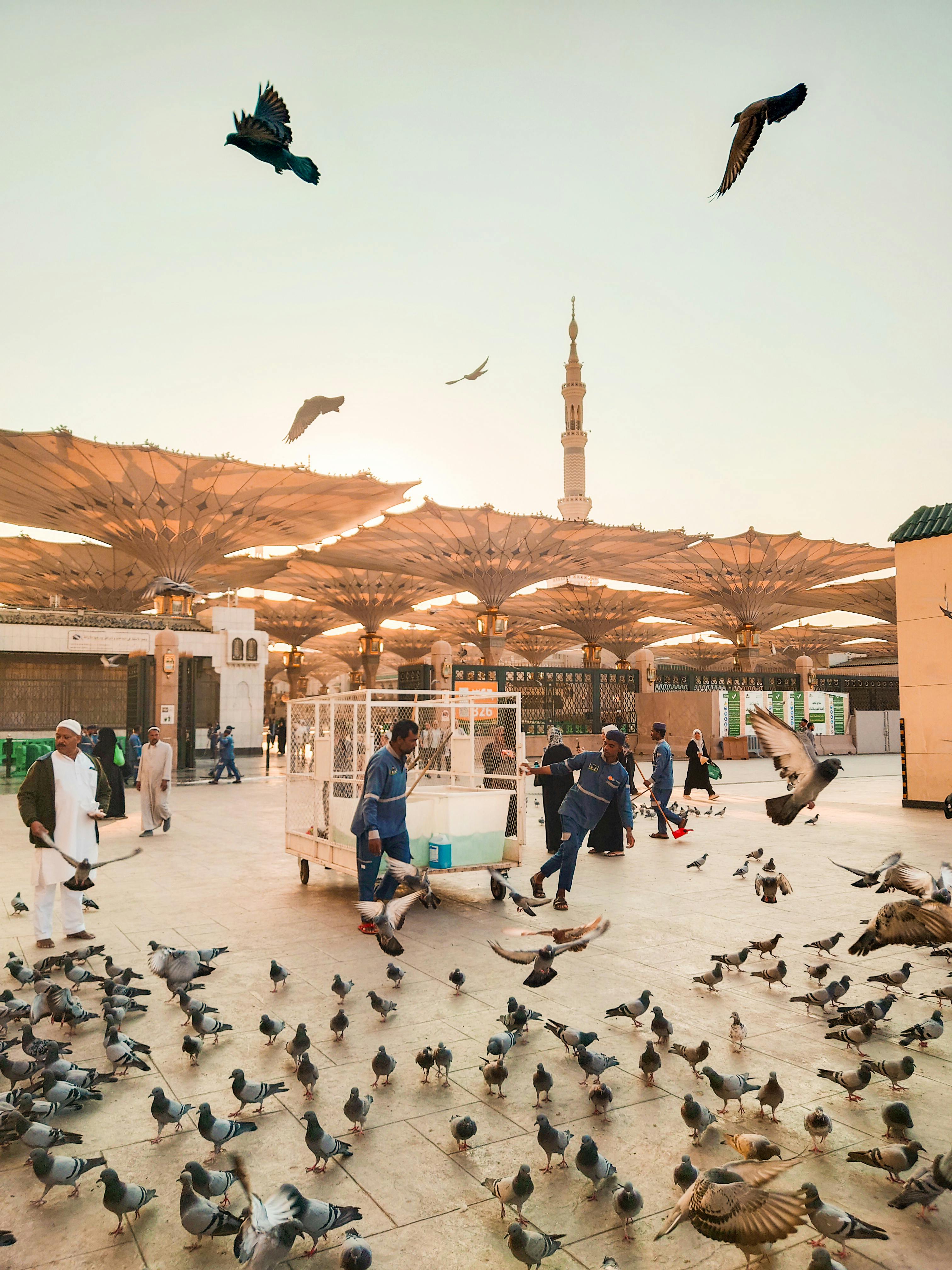 7 Best Places to Visit in Madinah for Umrah Pilgrims - 7 Best Places to Visit in Madinah for Umrah Pilgrims Guide - Umrah Guide