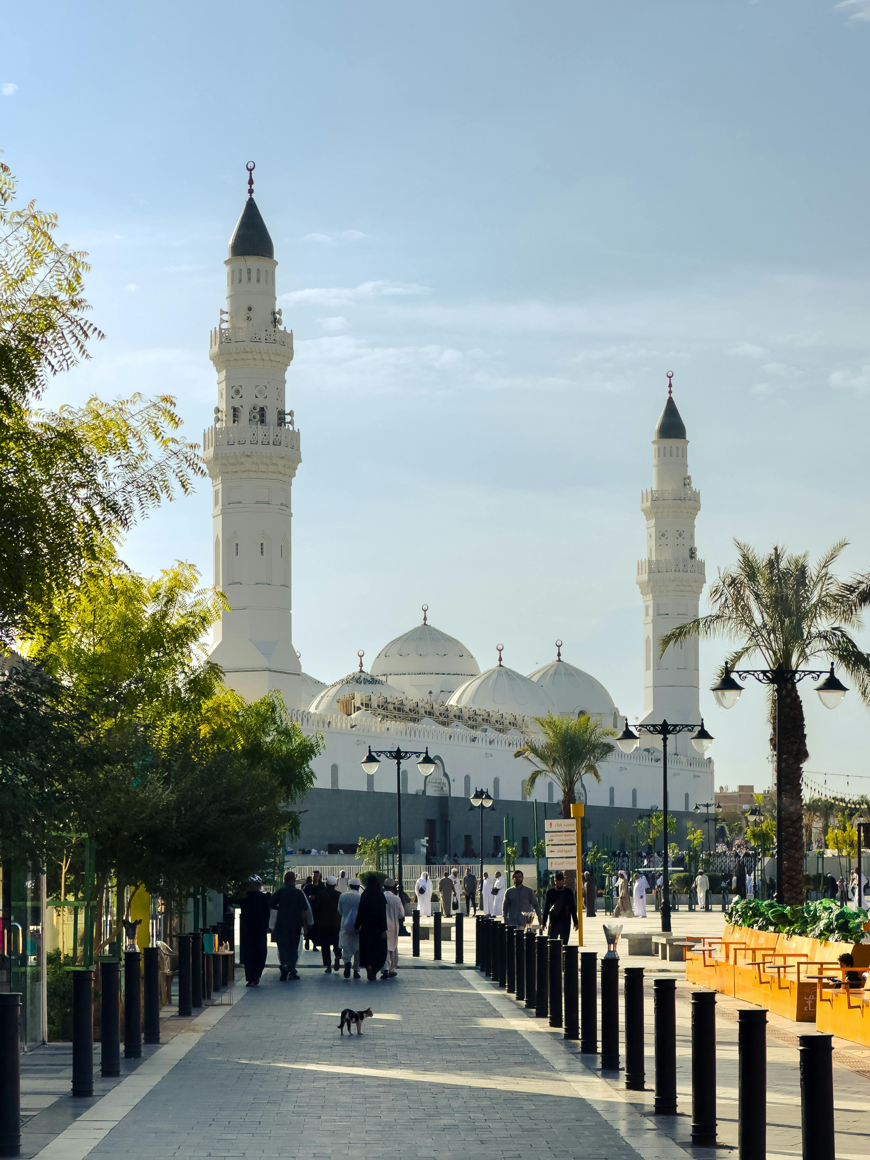 7 best places to visit in madi blog content image 1751917958263 hy7o - 7 Best Places to Visit in Madinah for Umrah Pilgrims