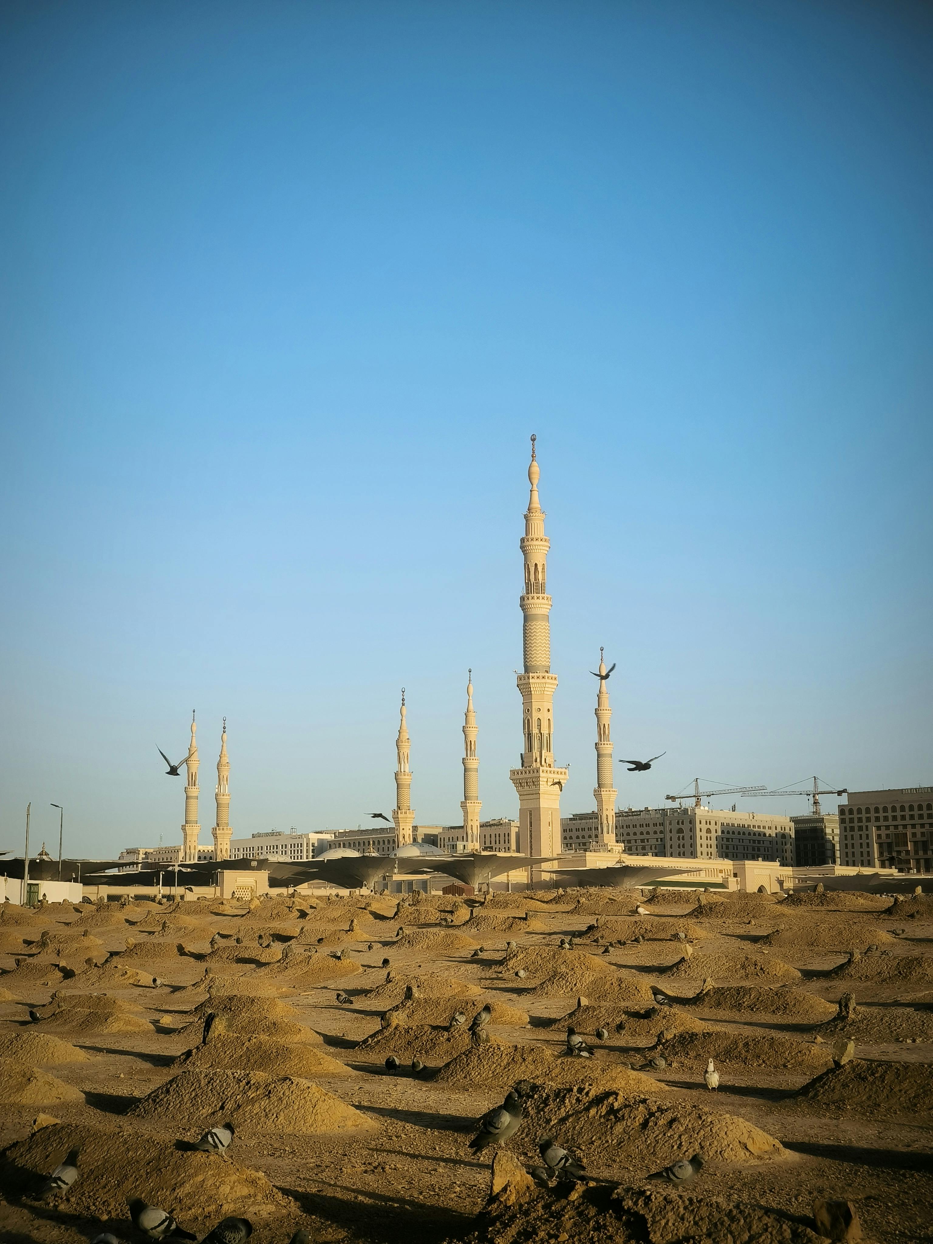 7 best places to visit in madi blog content image 1751917959740 2yvq - 7 Best Places to Visit in Madinah for Umrah Pilgrims